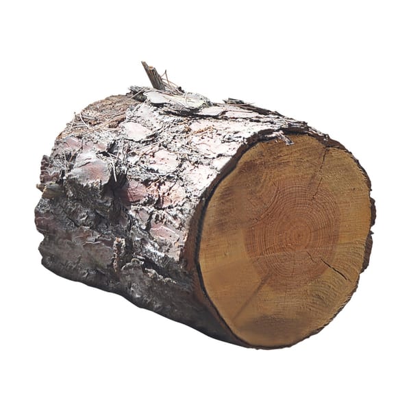 Kuru Meşe Odunu Çuval (~20 kg)